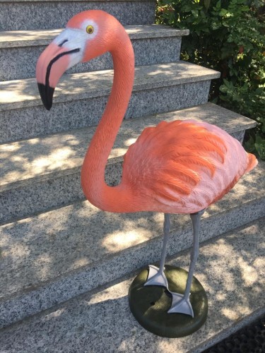 Fenicottero flamingo...