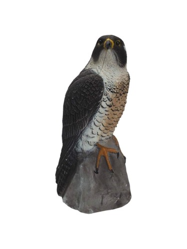 Falco pellegrino h 41 cm...