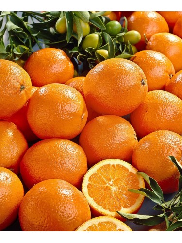 Arancio "Citrus sinensis"...