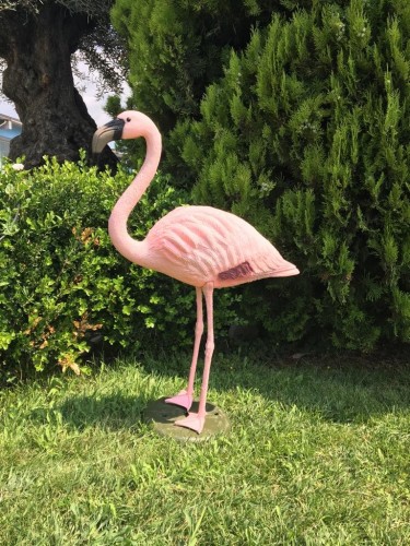 Fenicottero flamingo rosa...