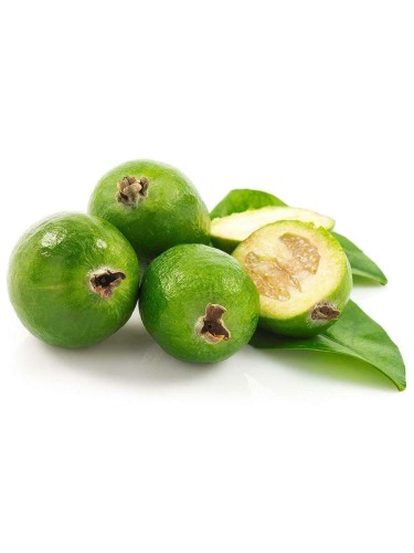 Feijoa "Acca sellowiana"...